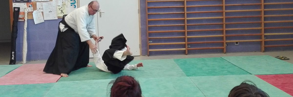 Démonstration Aikido Parthenay